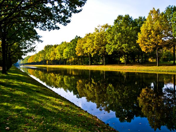 Bank Landscaping in Plano