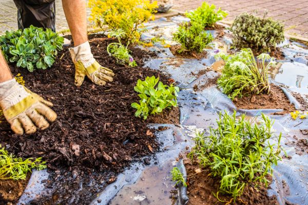 Mulch Fabric Installation in Plano