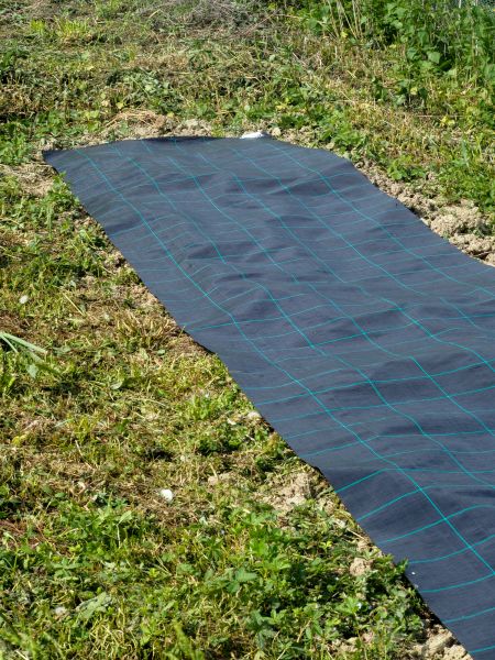 Weed Suppressant Installation in Plano