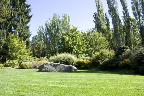 Yard Enlargement in Plano