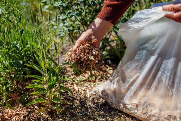 Wood Mulch Installation in Plano