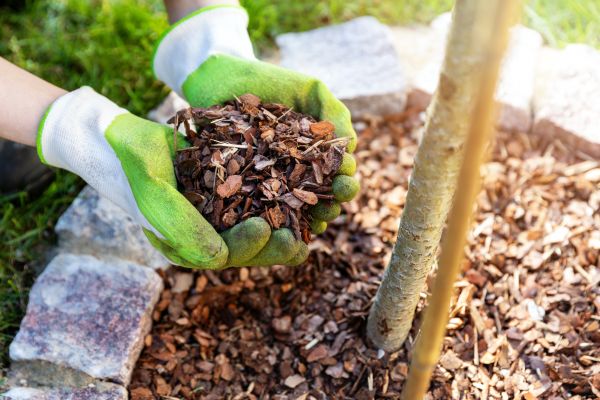 Tree Bark Delivery in Plano