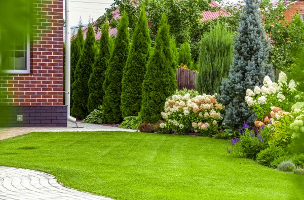 Spring Landscaping in Plano