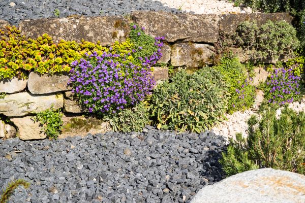 Landscaping Rocks Installation in Plano