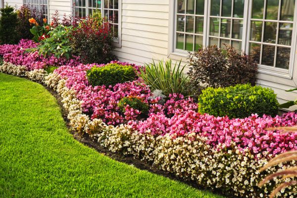 Garden Landscape Design in Plano