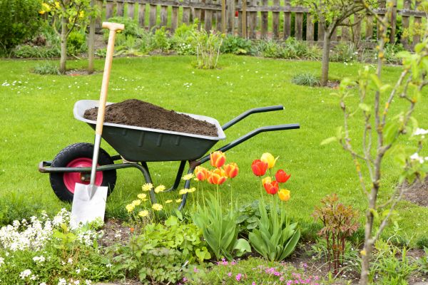 Spring Yard Renovation in Plano