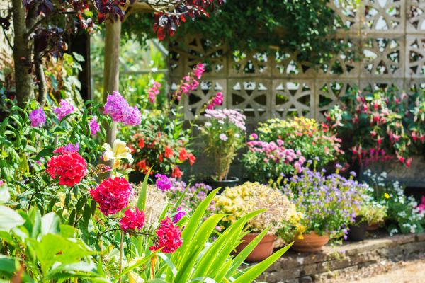 Spring Garden Maintenance in Plano