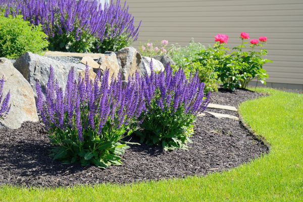 Landscape Planting Service in Plano