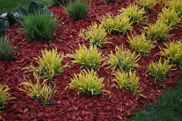 Red Mulch Installation in Plano
