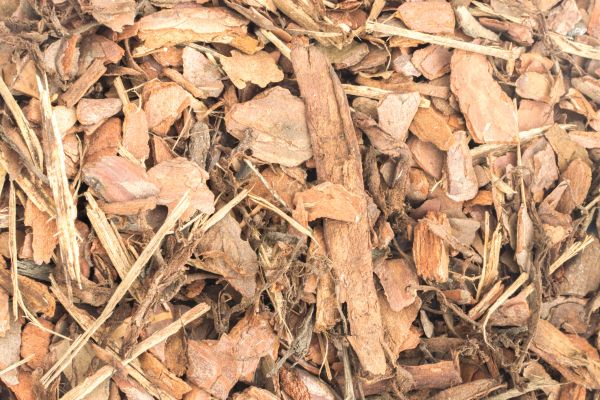 Bark Mulch Installation in Plano