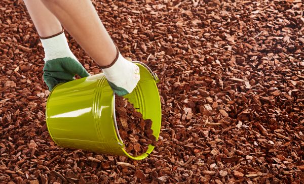 Wood Chip Landscaping in Plano