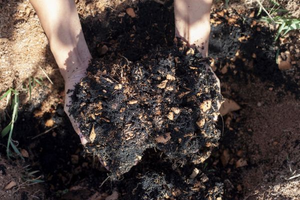 Organic Mulch Installation in Plano