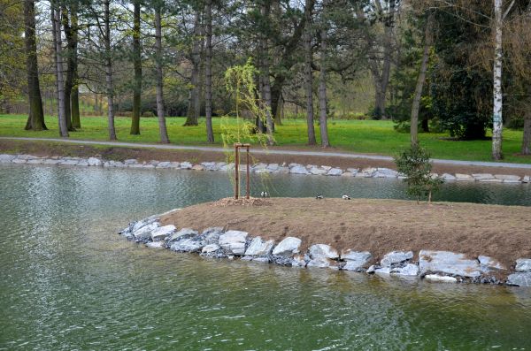 Pond Landscaping Service in Plano