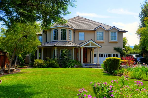Large Yard Landscaping in Plano