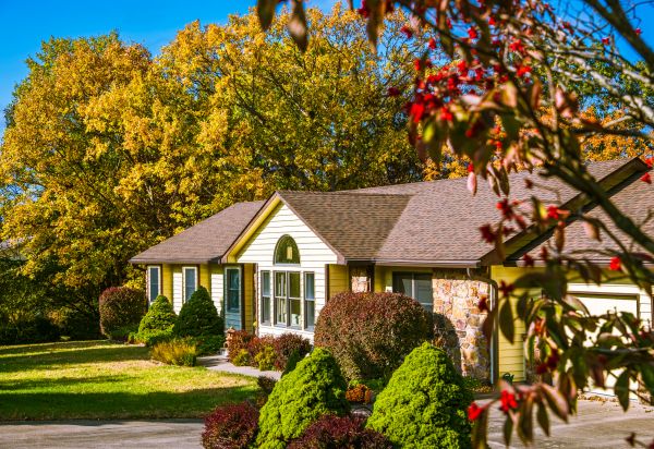 Ranch Landscaping in Plano