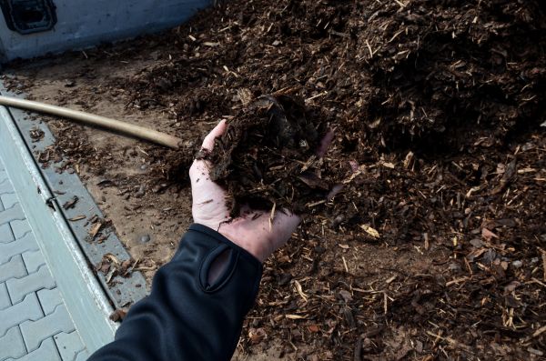 Condo Mulching in Plano