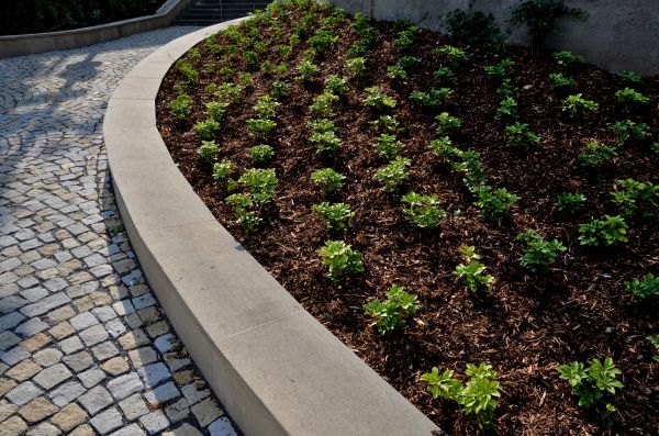 Commercial Mulching in Plano