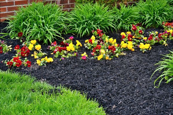 Apartment Mulching in Plano