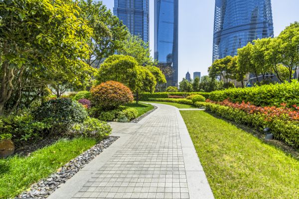Commercial Landscaping in Plano