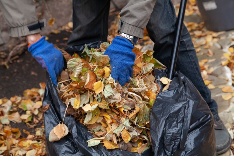 Bundled Leaves Ready for Pickup