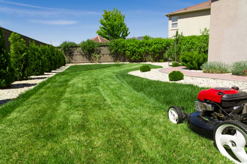 Yard Landscaping Service detail